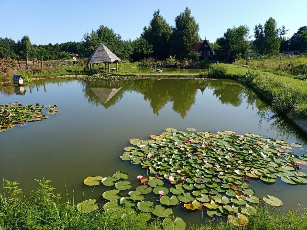 Noclegi U Janusza Zalesie  Exteriör bild